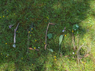 1 Leib - Aus Fundstücken auf die Wiese geschrieben